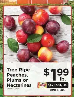 ShopRite Tree Ripe Peaches, Plums or Nectarines offer