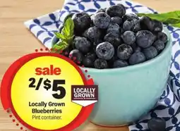Meijer Locally Grown Blueberries offer