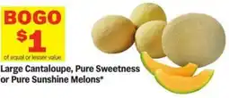 Meijer Large Cantaloupe, Pure Sweetness or Pure Sunshine Melons offer
