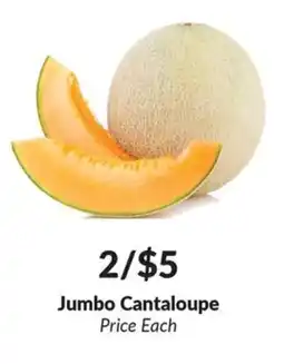 Woodman's Jumbo cantaloupe offer