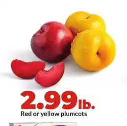Hy-Vee Red or yellow plumcots offer