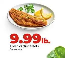 Hy-Vee Fresh catfish fillets offer