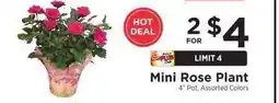 ShopRite Mini Rose Plant offer