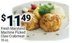 Fresh maryland machine picked claw crabmeat