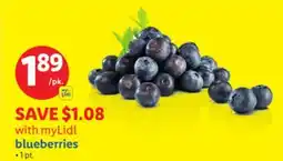 Lidl blueberries offer