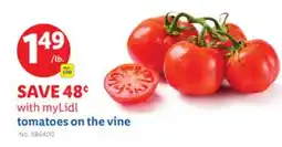Lidl tomatoes on the vine offer