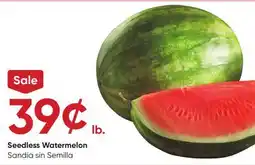 Stater Bros Seedless Watermelon offer