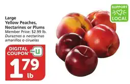 Albertsons Large Yellow Peaches, Nectarines or Plums offer