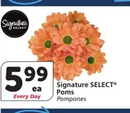 Albertsons Signature SELECT Poms offer
