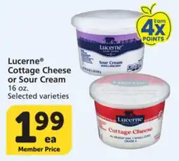Albertsons Lucerne Cottage Cheese or Sour Cream offer
