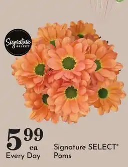 Pavilions Signature SELECT Poms offer