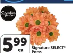 Vons Signature SELECT Poms offer