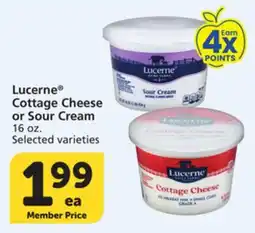Vons Lucerne Cottage Cheese or Sour Cream offer
