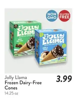 Fresh Thyme Jolly Llama Frozen Dairy-Free Cones offer