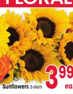 Jewel-Osco Sunflowers offer