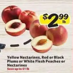 Winn Dixie Yellow Nectarines, Red or Black Plums or White Flesh Peaches or Nectarines offer
