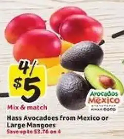 Winn Dixie Hass Avocados from Mexico or Large Mangoes offer