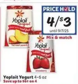 Winn Dixie Yoplait Yogurt offer