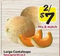 Winn Dixie Large Cantaloupe offer