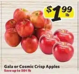 Winn Dixie Gala or Cosmic Crisp Apples offer