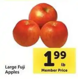 Safeway Large Fuji Apples offer