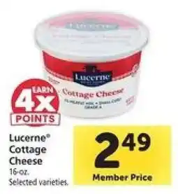 Safeway Lucerne Cottage Cheese offer
