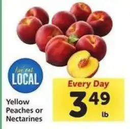 Safeway Yellow Peaches or Nectarines offer