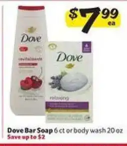 Winn Dixie Dove Bar Soap or Body Wash offer