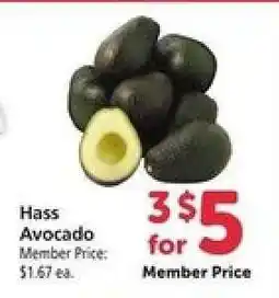 Safeway Hass Avocado offer
