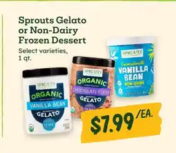 Sprouts Farmers Market Sprouts Gelato or Non-Dairy Frozen Dessert offer