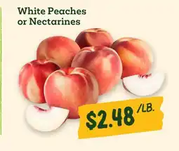 Sprouts Farmers Market White Peaches or Nectarines offer