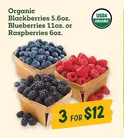 Sprouts Farmers Market Organic Blackberries 5.6 oz. Blueberries 11 oz. or Raspberries 6 oz offer