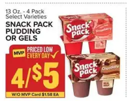 Food Lion Snack Pack Pudding or Gels offer