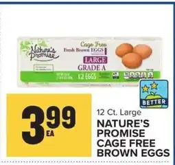Food Lion Nature's Promise Cage Free Brown Eggs offer