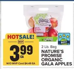 Food Lion Nature's Promise Organic Gala Apples offer