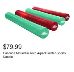 Costco Cascade Mountain Tech 4-pack Water Sports Noodle offer