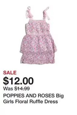 Marshalls POPPIES AND ROSES Big Girls Floral Ruffle Dress offer