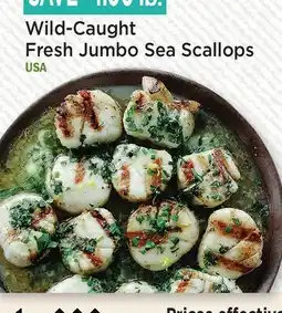 Heinen's Wild-Caught Fresh Jumbo Sea Scallops offer