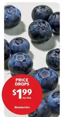 Aldi Blueberries offer