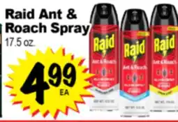 Superior Grocers Raid Ant & Roach Spray offer