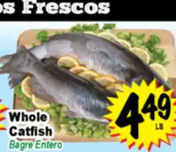 Superior Grocers Whole Catfish offer