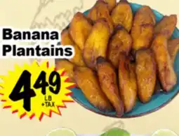 Superior Grocers Banana Plantains offer