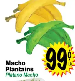 Superior Grocers Macho Plantains offer