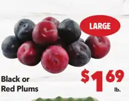 Vallarta Supermarkets Black or Red Plums offer