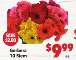 Vallarta Supermarkets Gerbera 10 Stem offer