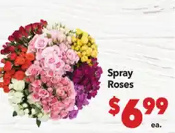 Vallarta Supermarkets Spray Roses offer