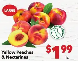 Vallarta Supermarkets Yellow Peaches & Nectarines offer