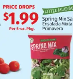 Aldi LITTLE SALAD BAR Spring Mix Salad offer