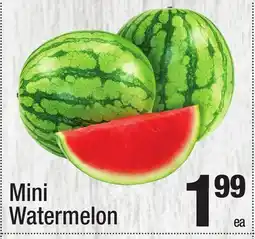 Super King Markets Mini Watermelon offer