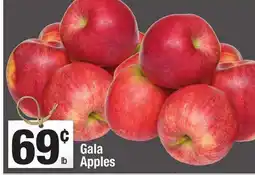 Super King Markets Gala Apples offer